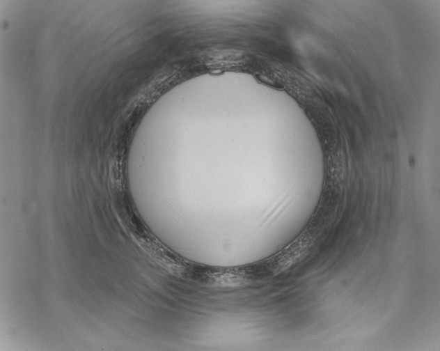 X0000069380755200606021606