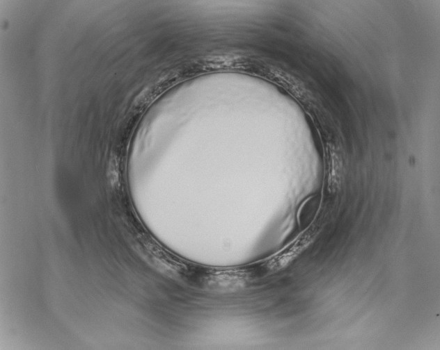 X0000069380758200606021606