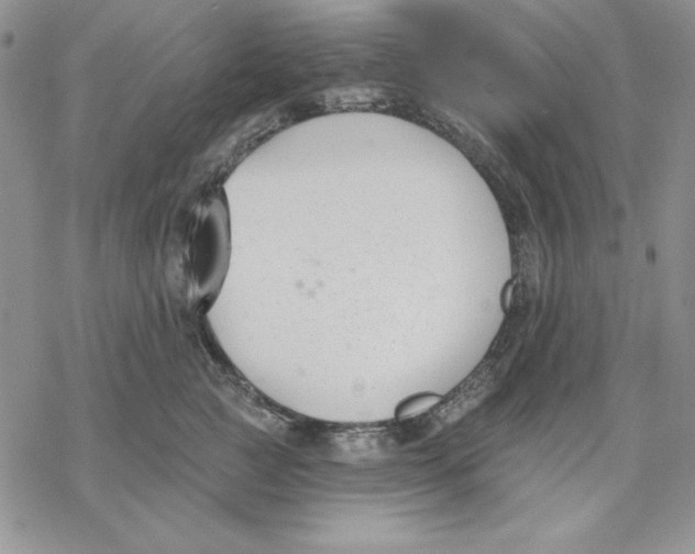 X0000069380761200606021607