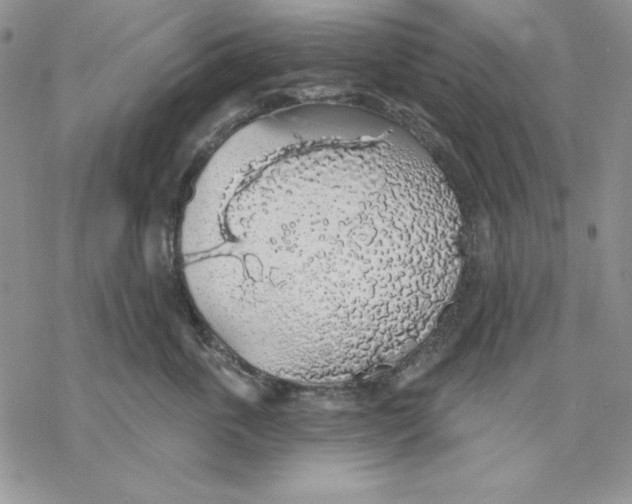 X0000069380763200606021607