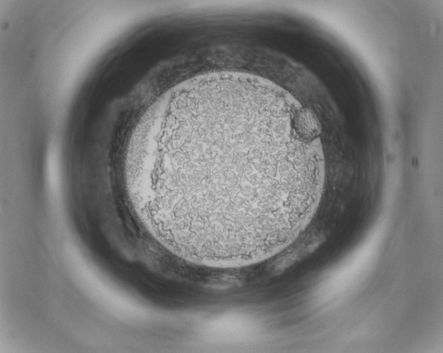 X0000069380765200606021607