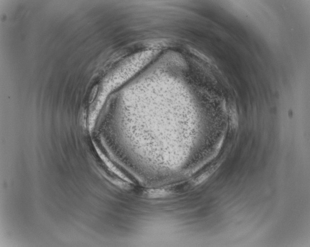 X0000069380766200606021607