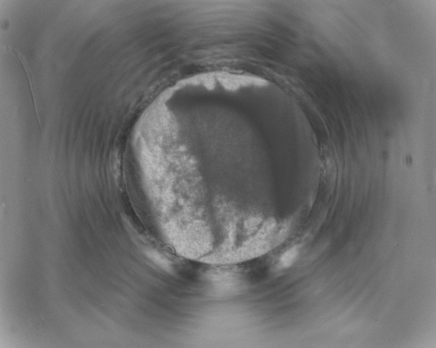 X0000069380767200606021607