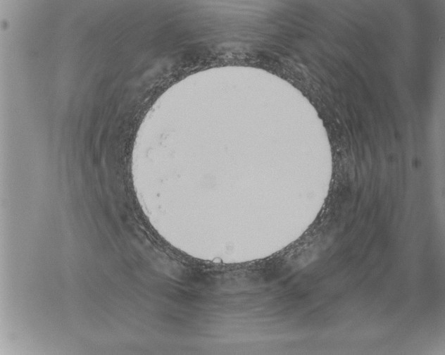 X0000069380769200606021606