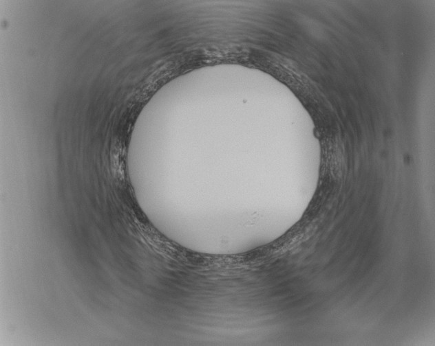 X0000069380770200606021606