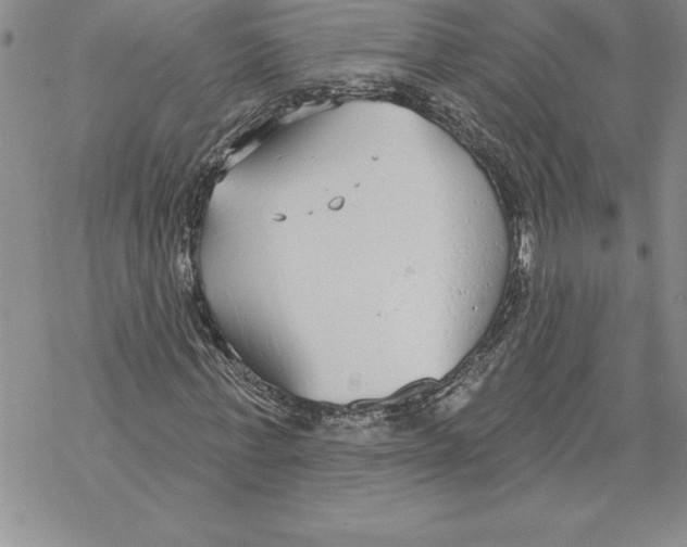 X0000069380771200606021606