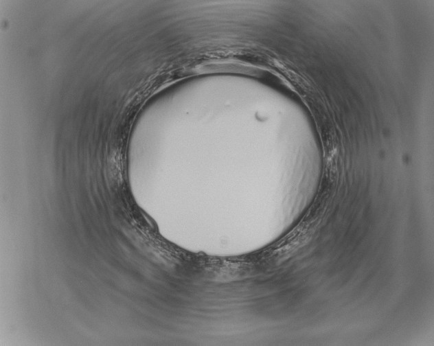 X0000069380772200606021606