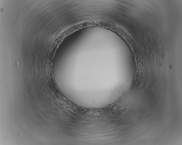 X0000069380773200606021606