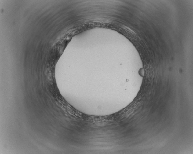 X0000069380774200606021606