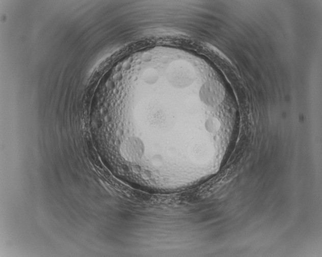 X0000069380775200606021606