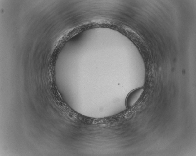 X0000069380776200606021606