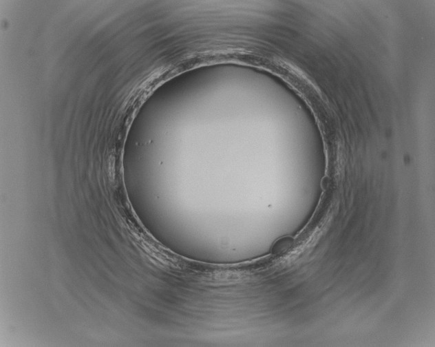 X0000069380777200606021606