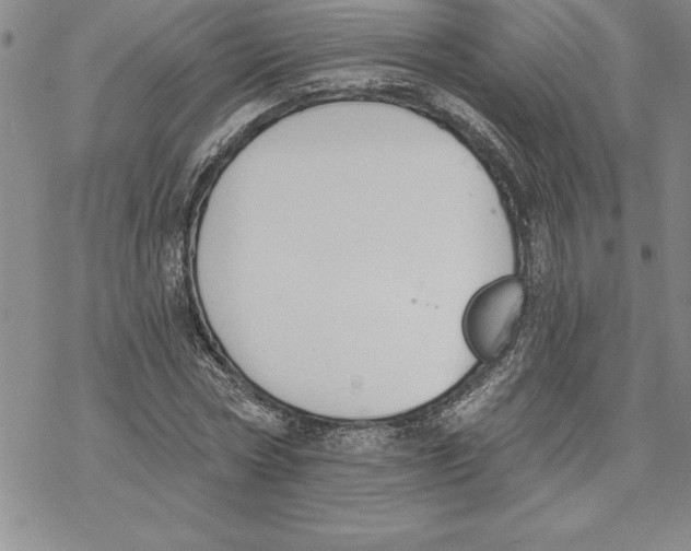 X0000069380778200606021606