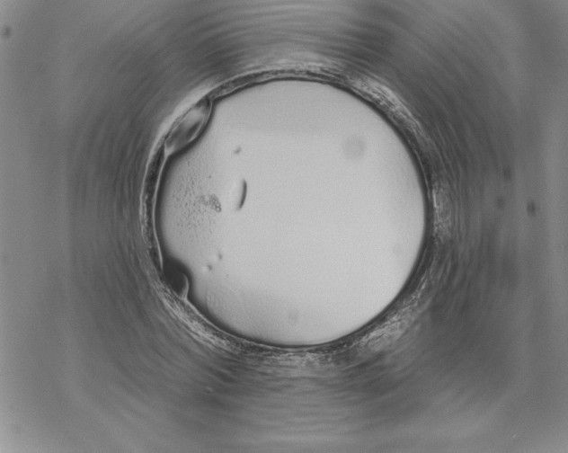 X0000069380780200606021606