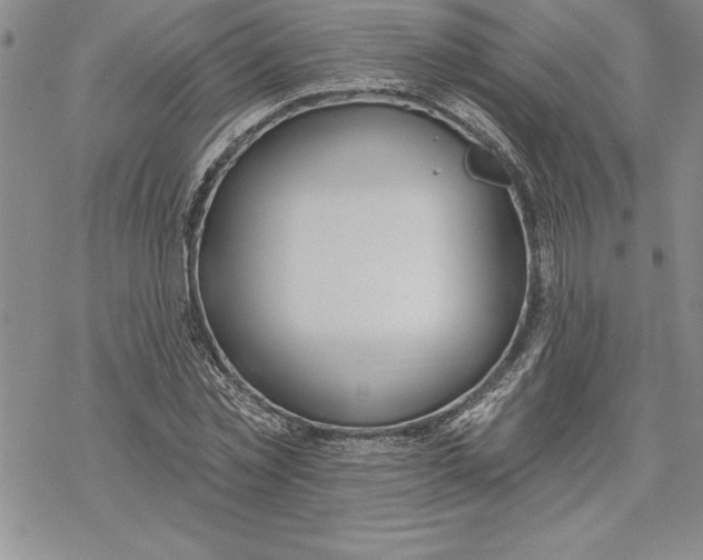 X0000069380781200606021606