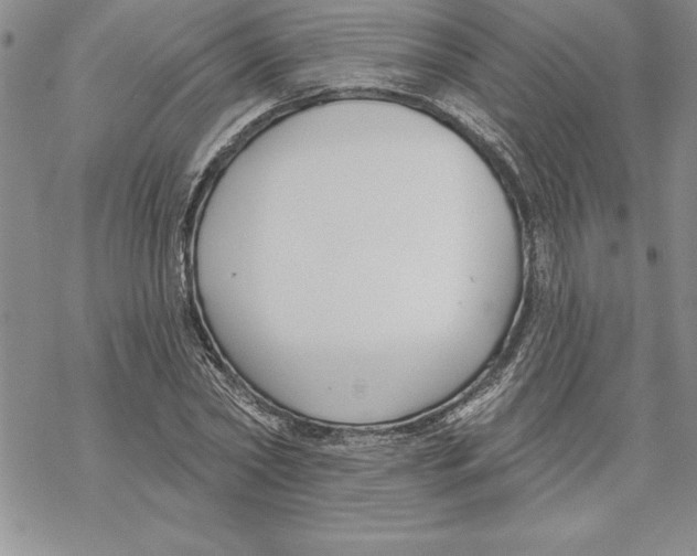 X0000069380782200606021606