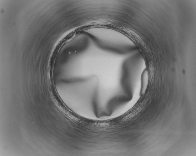 X0000069380784200606021606