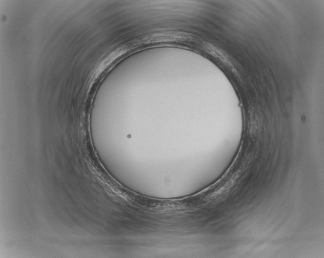 X0000069380786200606021606