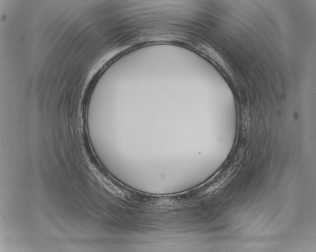 X0000069380787200606021606