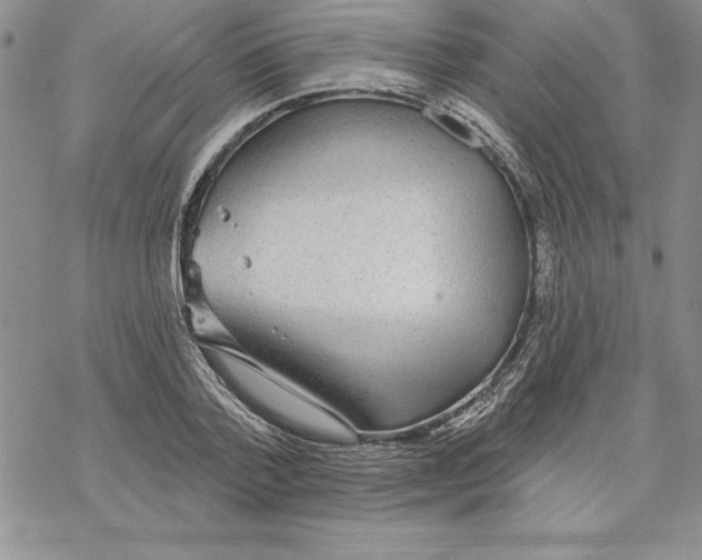 X0000069380788200606021606