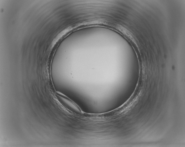 X0000069380789200606021606