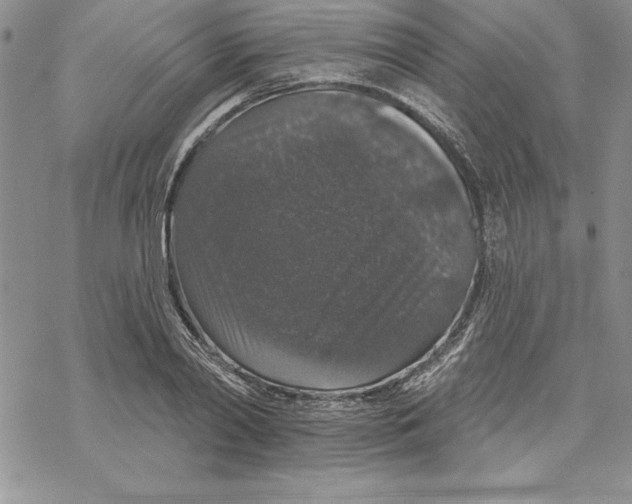 X0000069380790200606021606