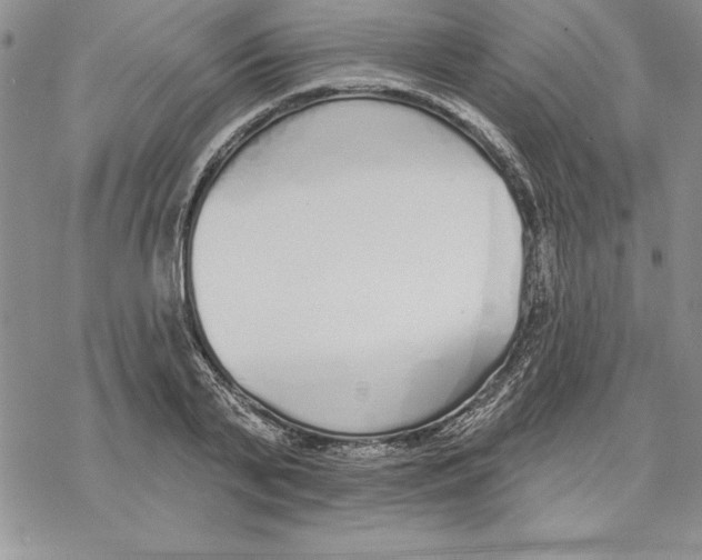 X0000069380791200606021605