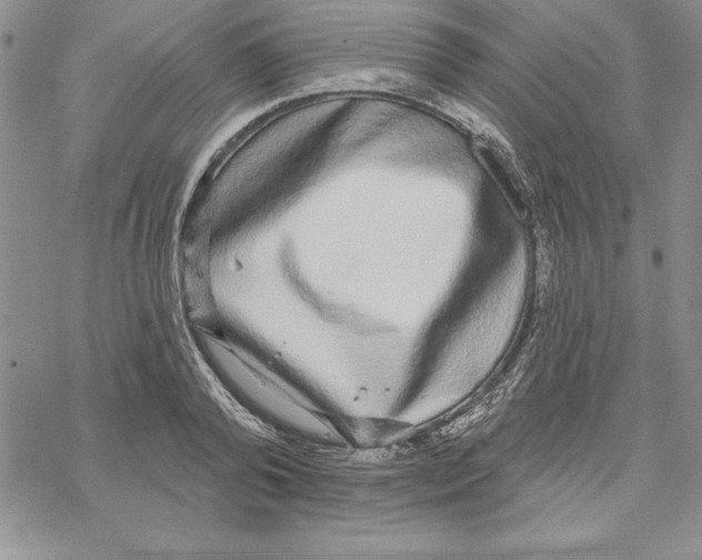 X0000069380792200606021605