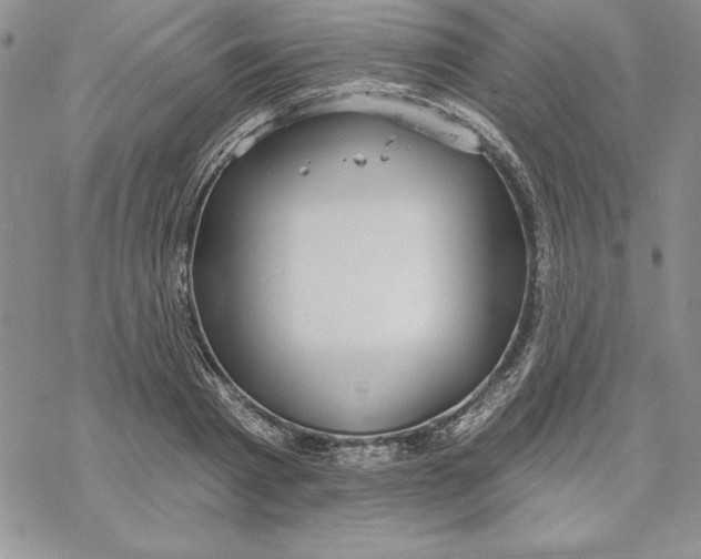 X0000069380793200606021605