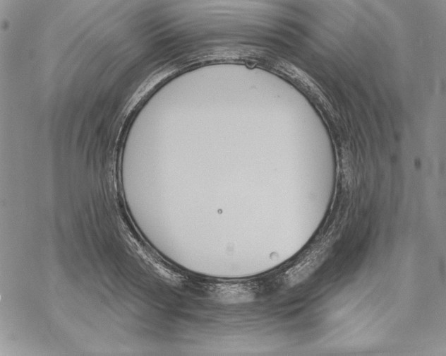 X0000069380794200606021605