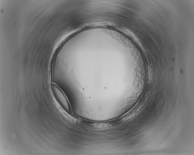 X0000069380795200606021605