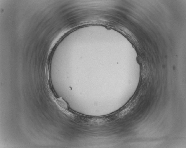 X0000069380796200606021605