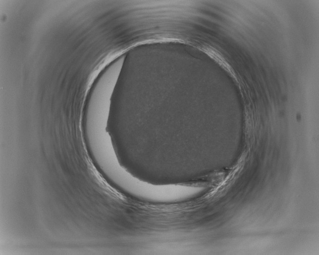 X0000069380797200606021605