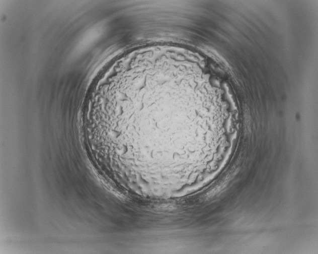 X0000069380798200606021605