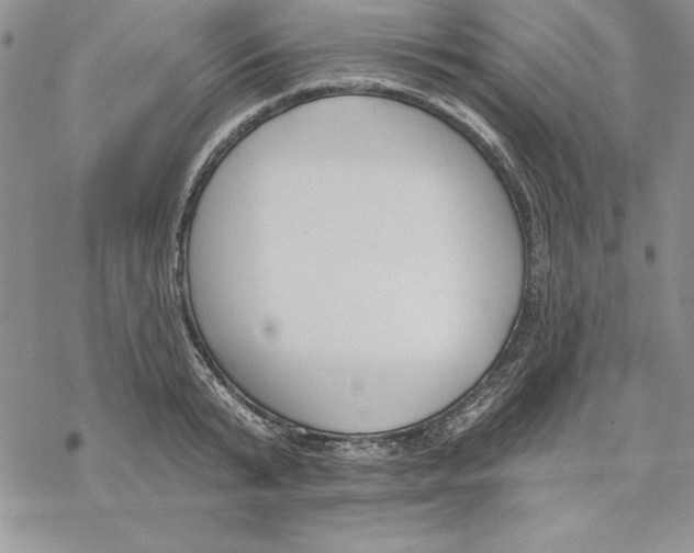 X0000069380799200606021605