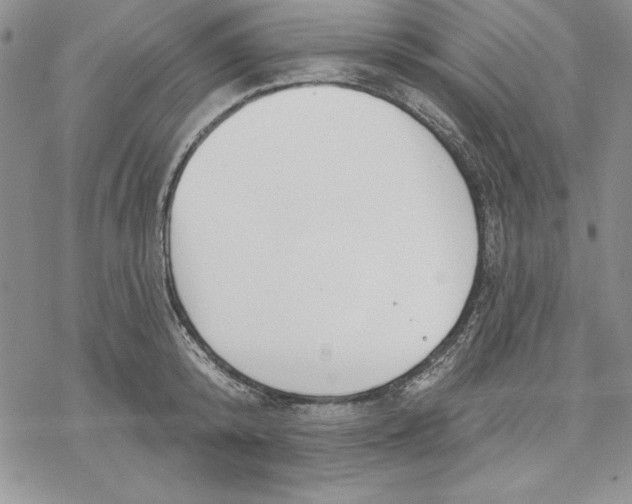 X0000069380800200606021605