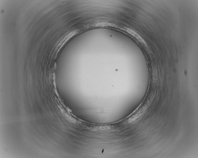 X0000069380801200606021605