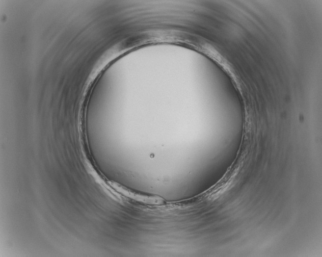 X0000069380803200606021605