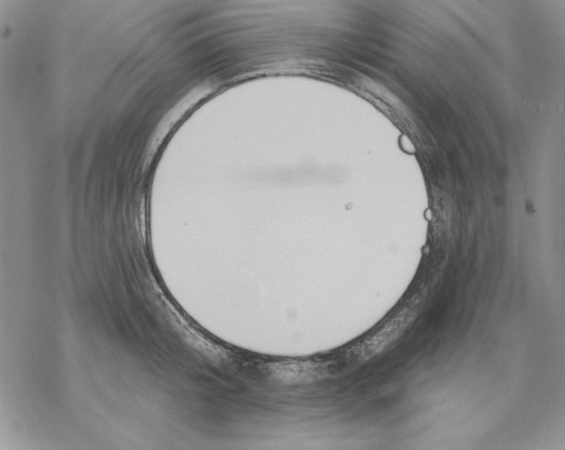 X0000069380804200606021605