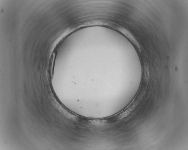 X0000069380805200606021605