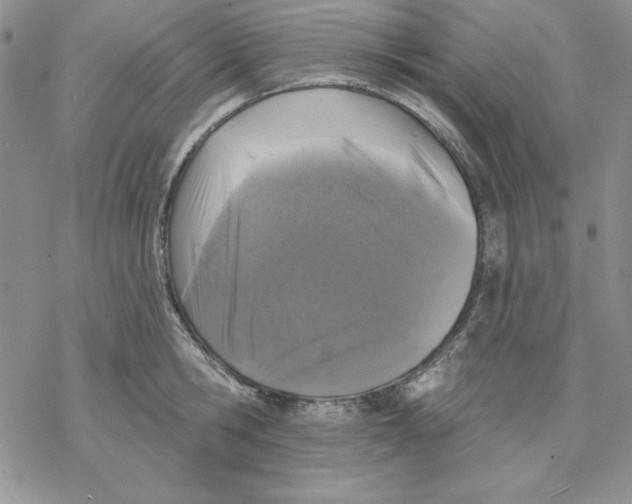 X0000069380806200606021605