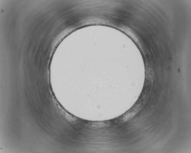 X0000069380807200606021605