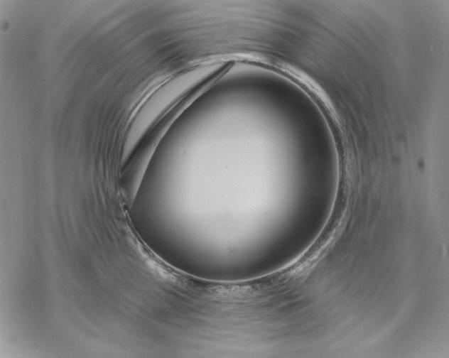 X0000069380809200606021605