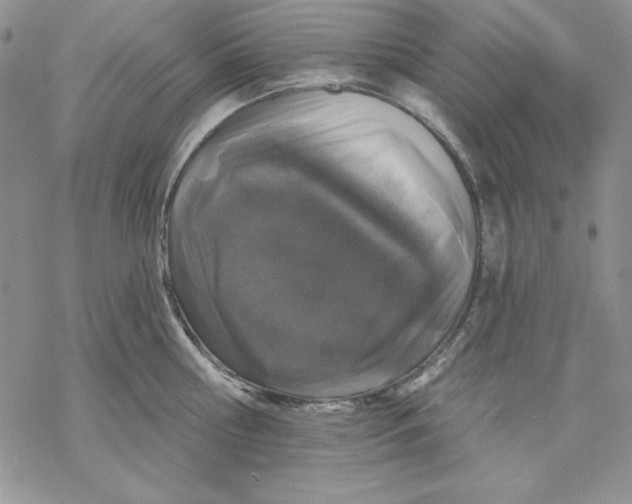 X0000069380810200606021605