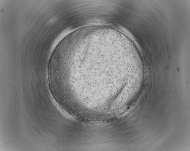 X0000069380811200606021605