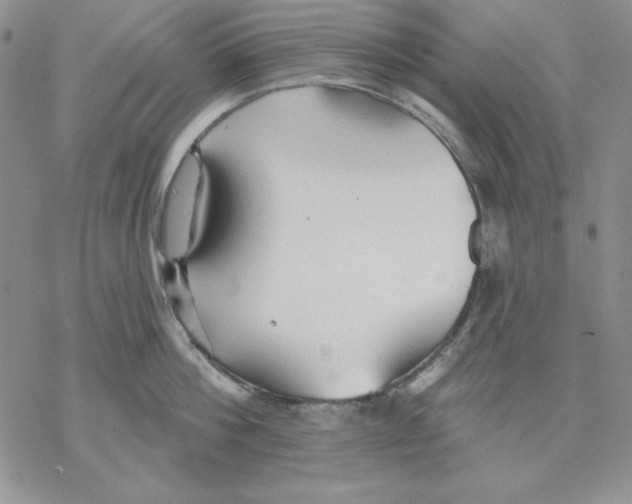 X0000069380812200606021605