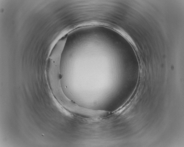 X0000069380813200606021605