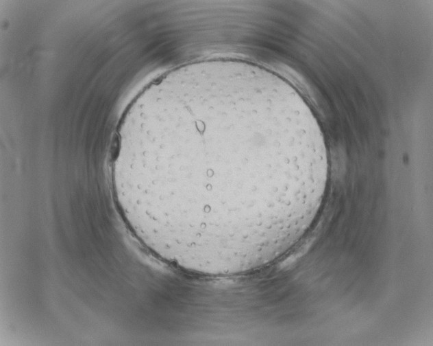 X0000069380814200606021605