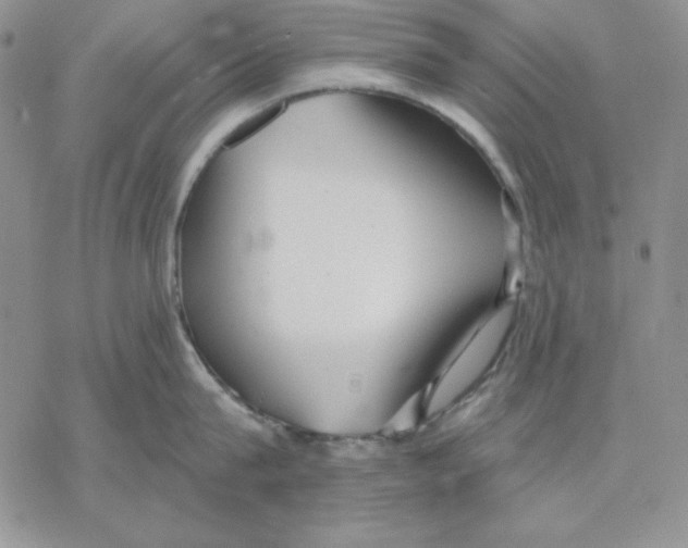 X0000069380815200606021605