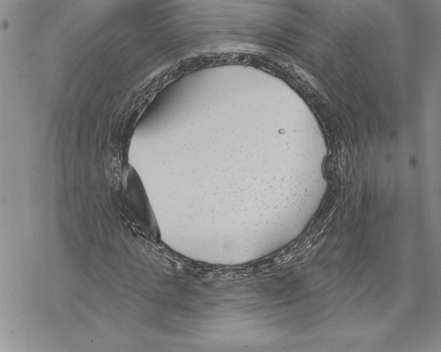 X0000069380821200606021604